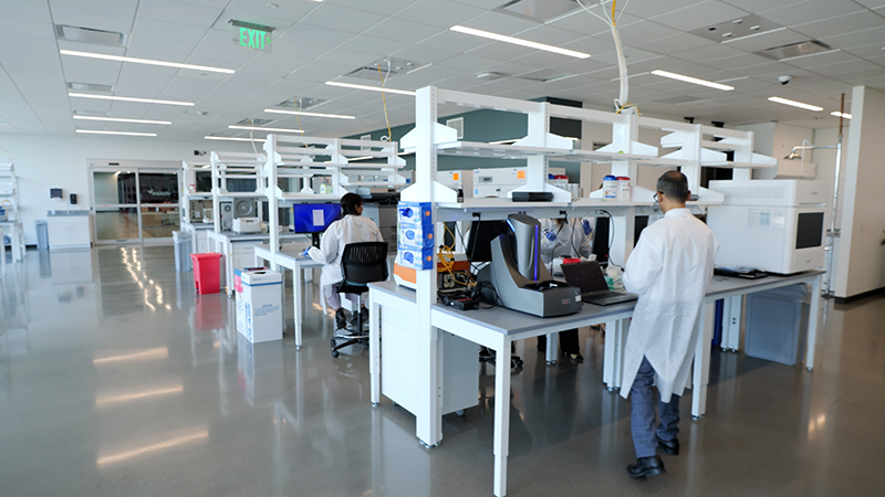 Vitalant Launches Cell-Based Analytics Lab to Support Allogeneic Therapy Developers thumbnail